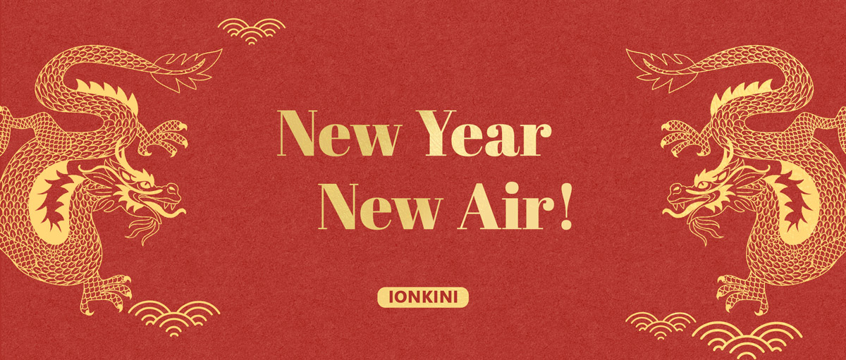 IONKINI Technology 2024 Lunar New Year Holiday Notice & Service